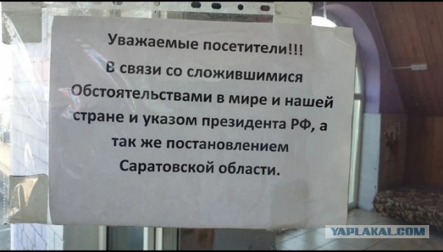 Веселые картинки _)