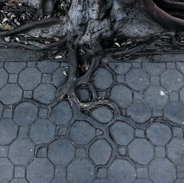20 фото для спокойствия