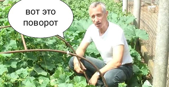 Надувной дилдо-огурец начали продавать в России