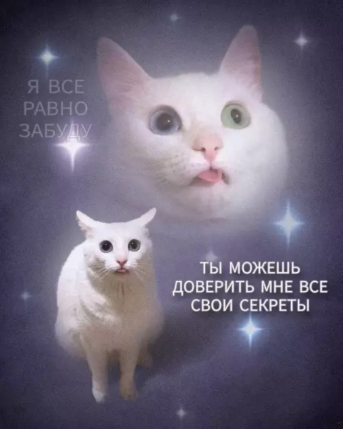 Картиночки, баянчики 23 февраля