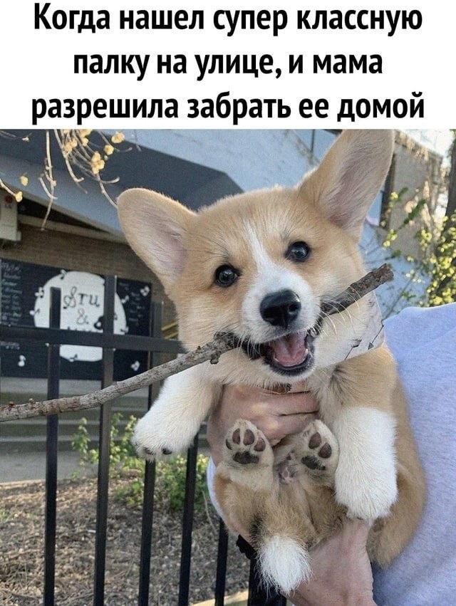 Картинки