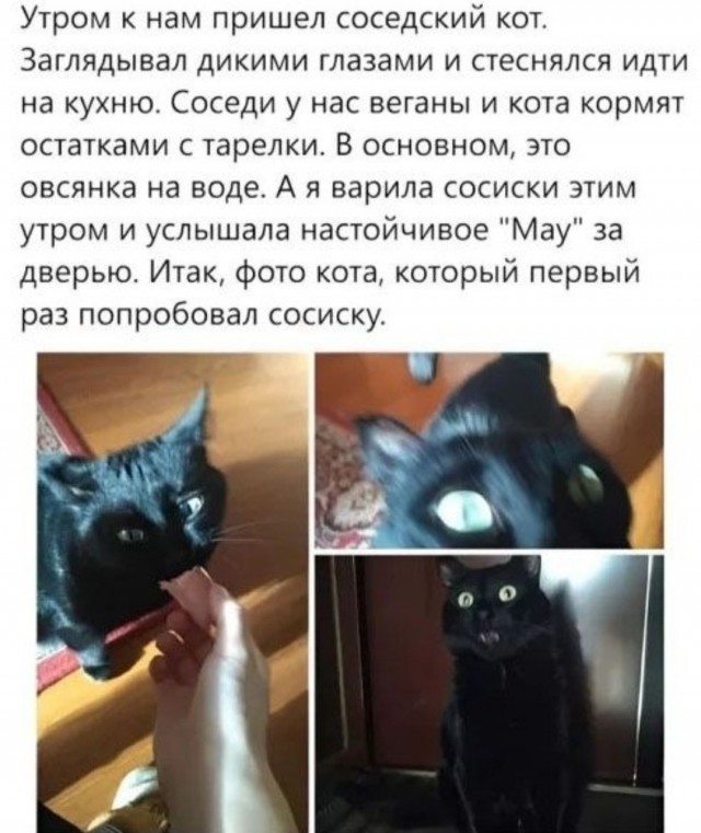 Картинки для деградации 188 (разной степени свежести)