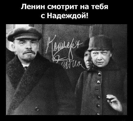 Картинки для деградации 198 (разной степени свежести)