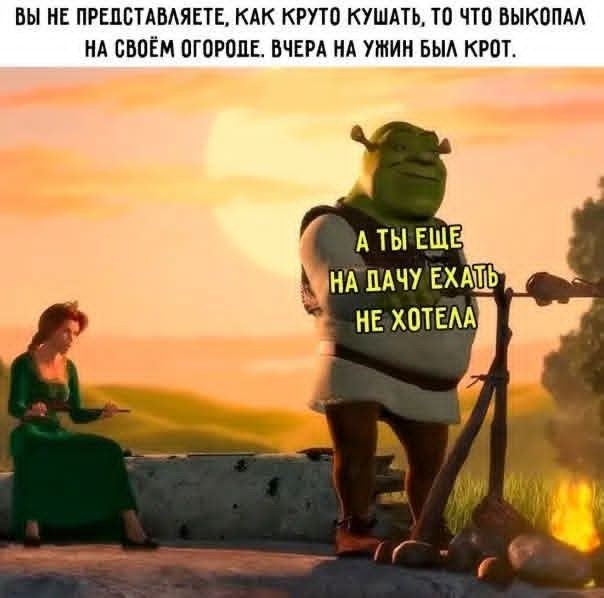Веселые картинки в пятницу (03.07)