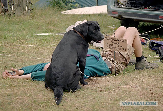 Обитель зла!