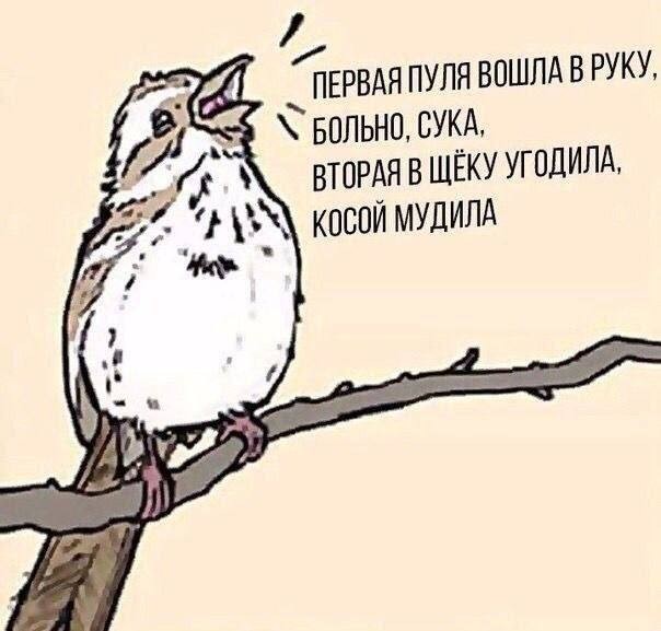 Картинки для деградации 250 (разной степени свежести)