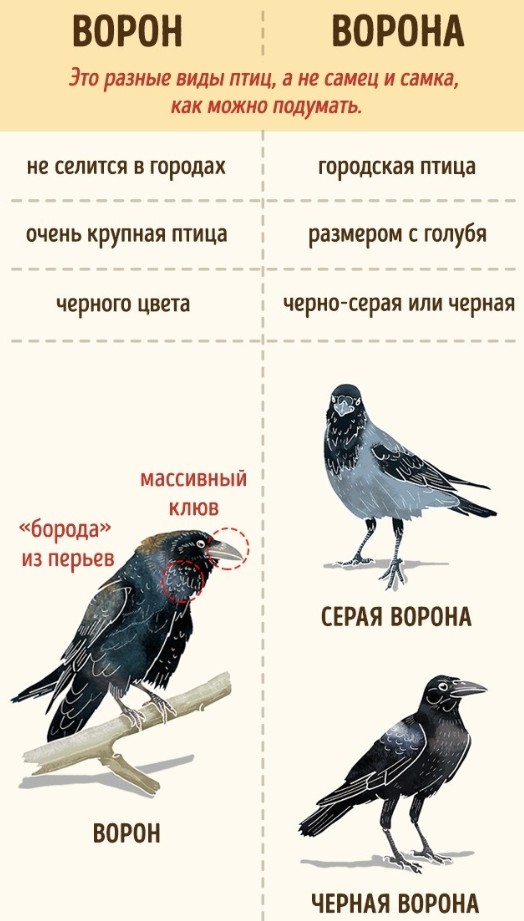 Брат Чугайнова заявил, что блогер ушел из жизни по собственной воле