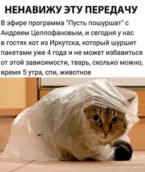 Картинки для деградации 281 (разной степени свежести)