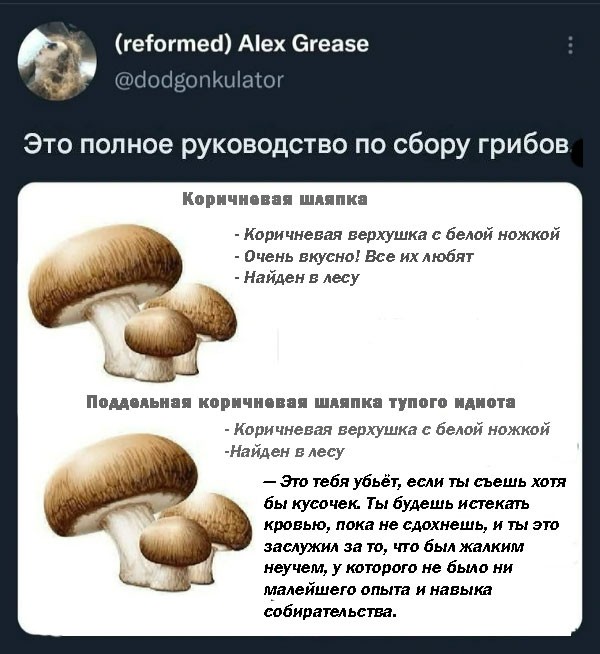 Подмосковного грибника госпитализировали в тяжёлом состоянии после того, как он перепутал съедобные грибы с ядовитыми