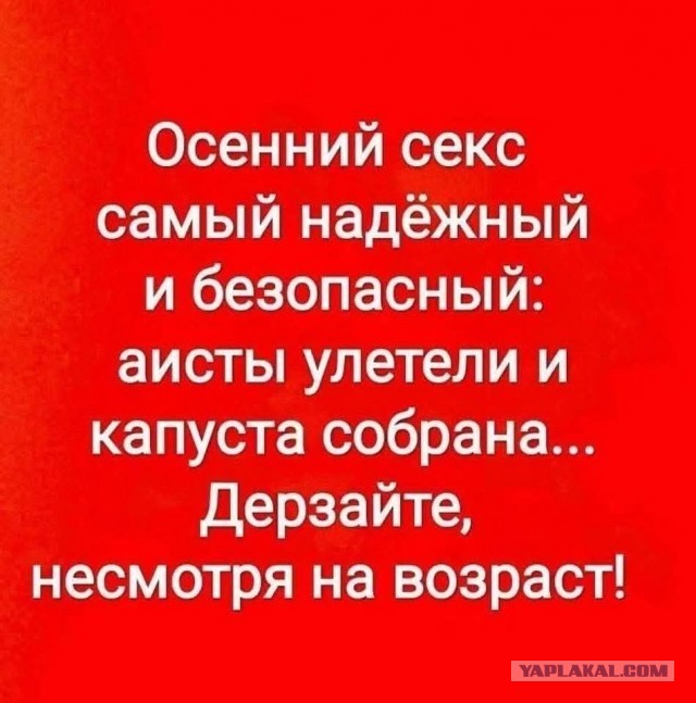 Улыбательные картинки