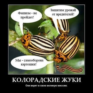 Слава сиськам!Героям сисек!