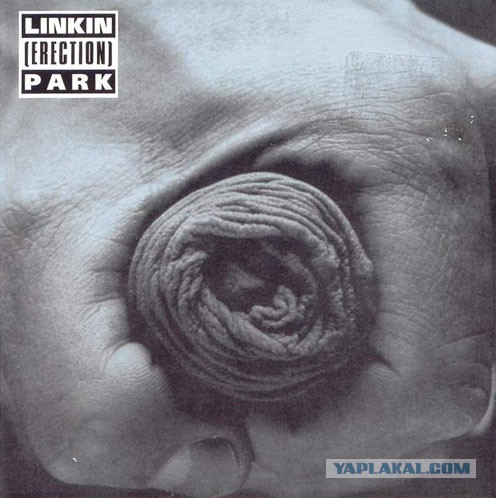 Обложки знаменитых музыкальных альбомов: вид сзади