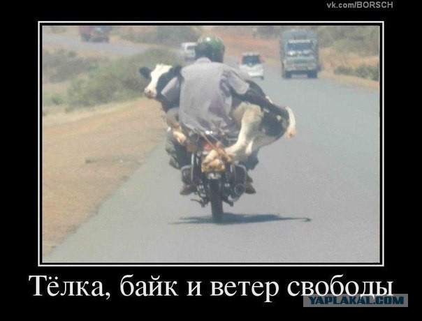 Странные люди, которых можно встретить в пути