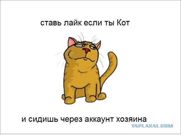 Когда вы плюсуeтe тему в платине