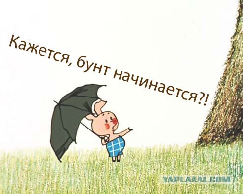 В США восстание