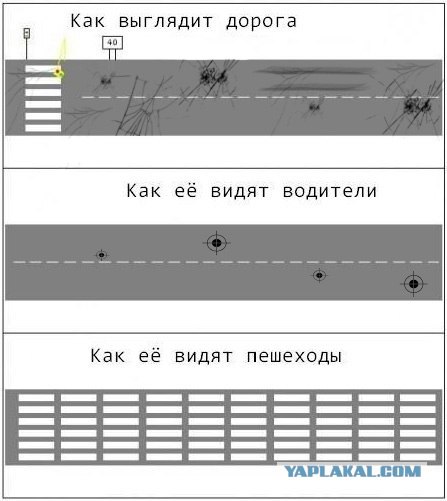 Дорога... Вот откуда все проблемы.