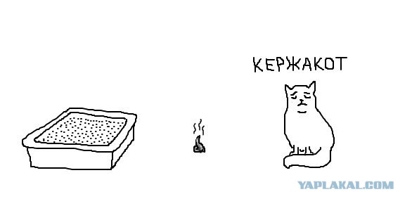 Подборка веселых картинок
