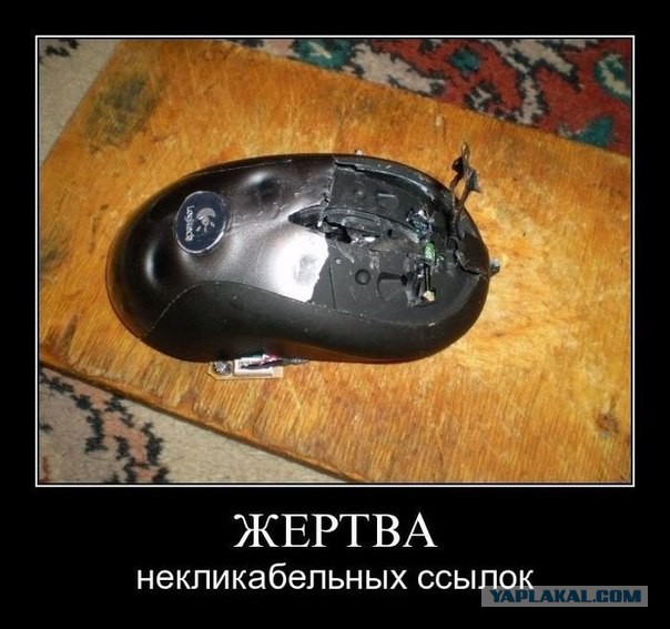 Смешные комментарии из социальных сетей 15.11.14