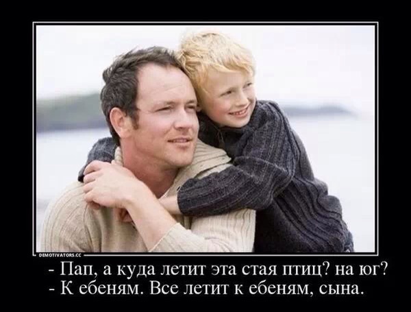 Забавные картинки.