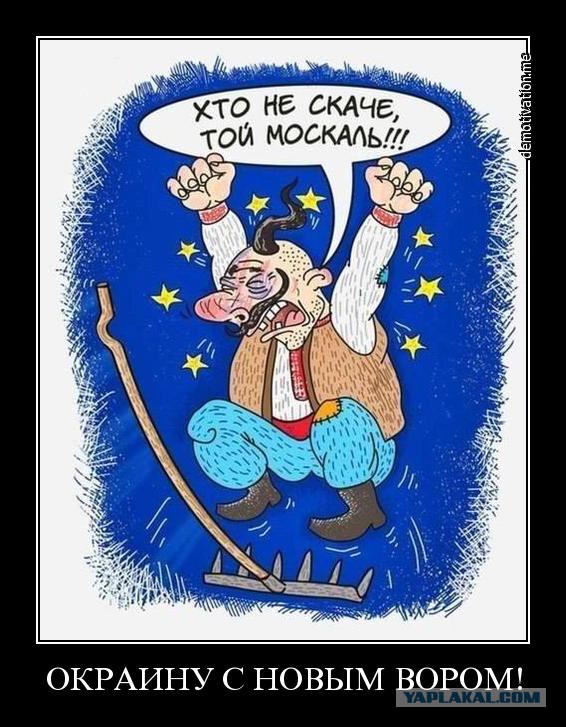 На злобу дня