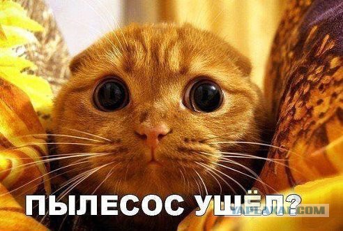 1 апреля. Из завалявшегося...
