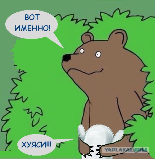 Ответ юзеров сети на появление нового мема Ничоси