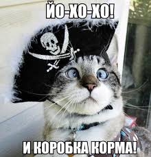 Известные котомемы.