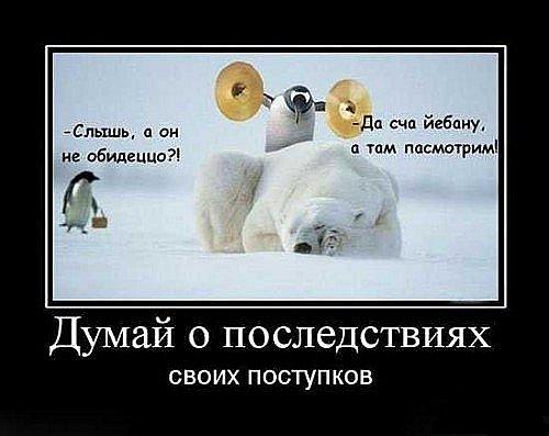 Дети подорвались на установленной дачником мине
