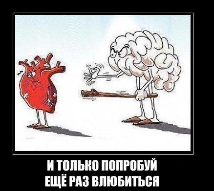 Картинки из инета