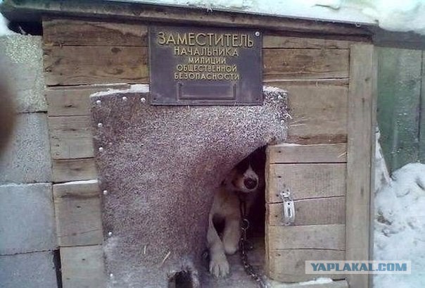 Картинки набрались разные