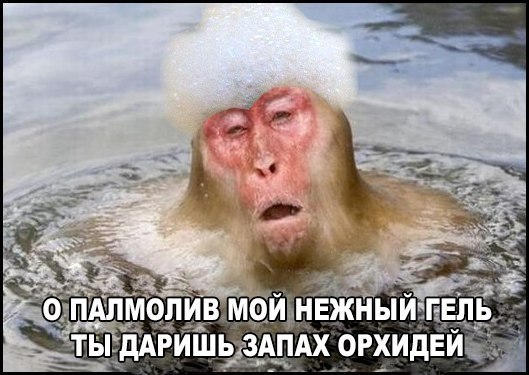 Королева, ёпт.