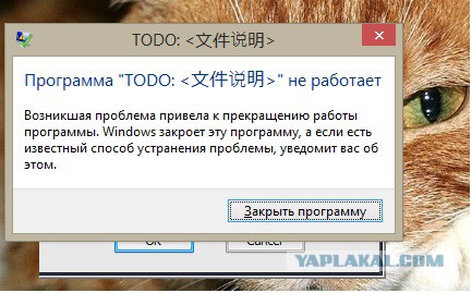 За что я люблю китайцев