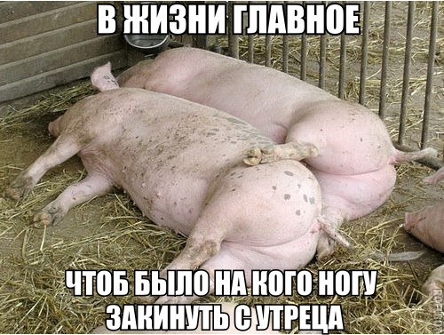 А давайте улыбнёмся