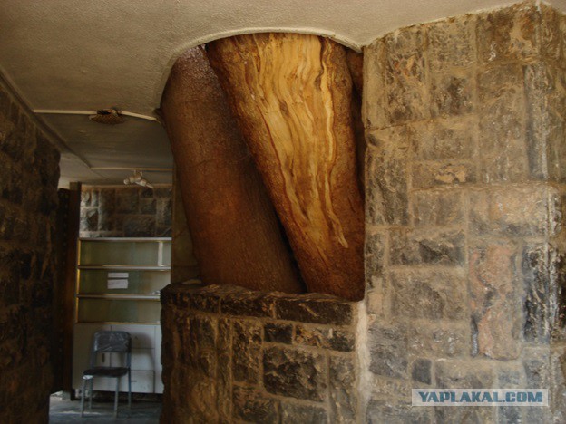 Путешествие по Ирану