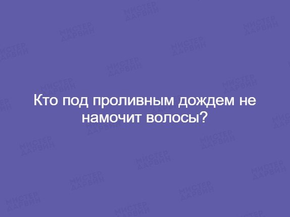 Подборка интересных и веселых картинок