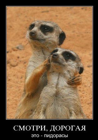 3,14доры где-то рядом