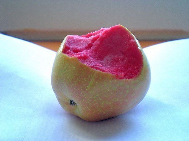 Небольшой микс картинок и гифок .