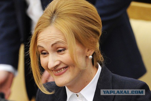 К чему приведет принятие пакета Яровой?