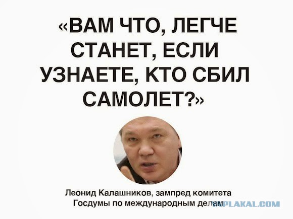Россию обвинили в катастрофе MH17