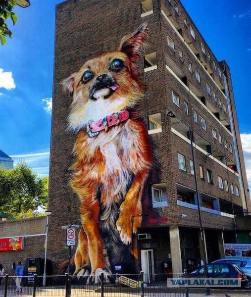 Вслед за Нагиевым в Питере, закрасили "Алису" в Москве