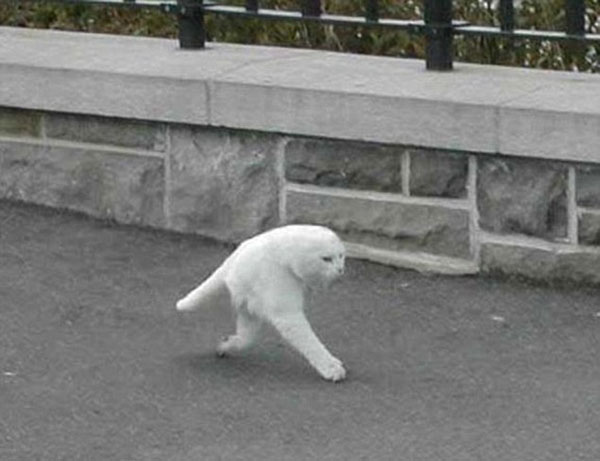 Мастера панорамного фото