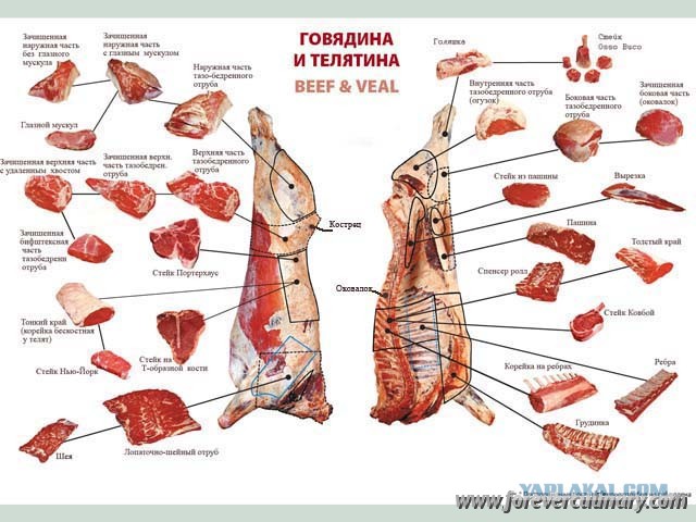 Сыровяленая телятина в оболочке