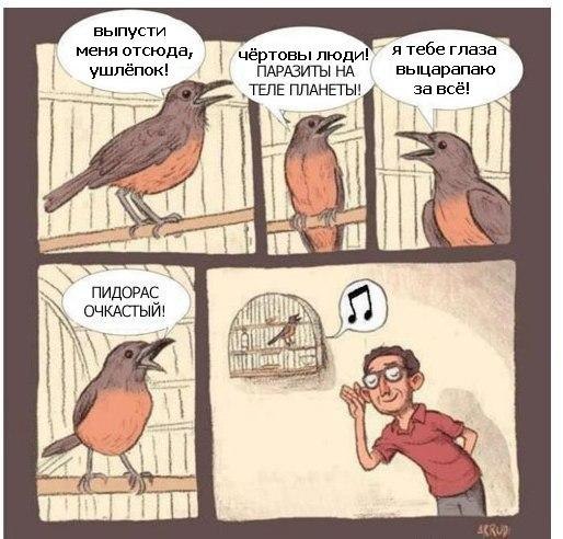 Отупляющие приколы