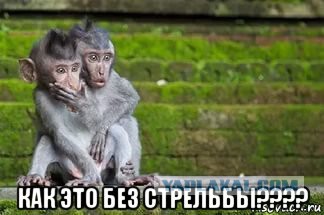 "Танцующий" кортеж на свадьбе сотрудника МВД проехался по Москве