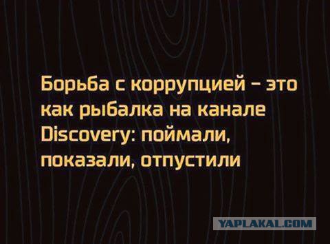 Штрафы за несанкционированные митинги в некоторых странах мира