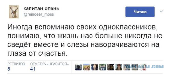 Забавные комментарии, шутки и фразы из этих ваших интернетов