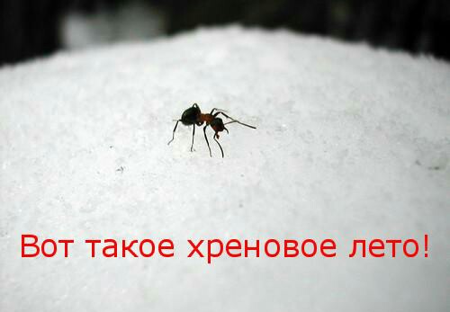 Вот оно какое, наше лето.