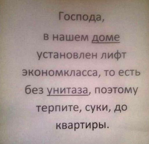 27 соседей, которые могут сделать любой день незабываемым