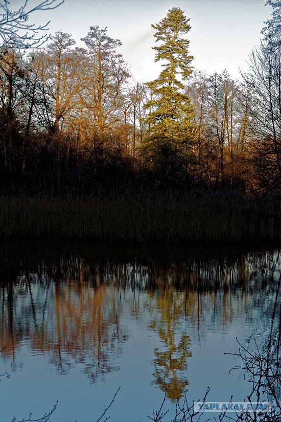 Просто Природа