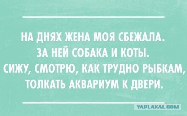 Зачем женщины ездят в Турцию?